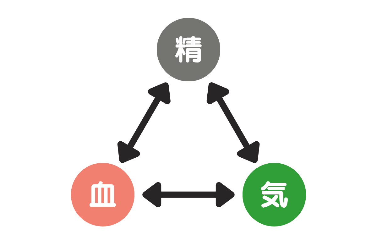 気血精の相関図