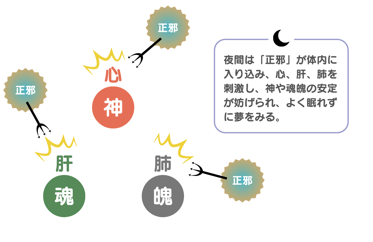 夜間、正邪が入り込み、心肝肺に影響を与えるイメージ図