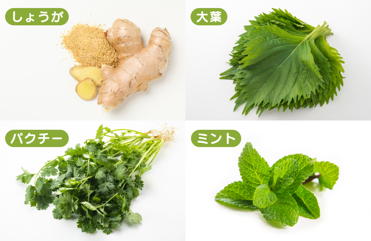 しょうが、大葉、パクチー、ミント