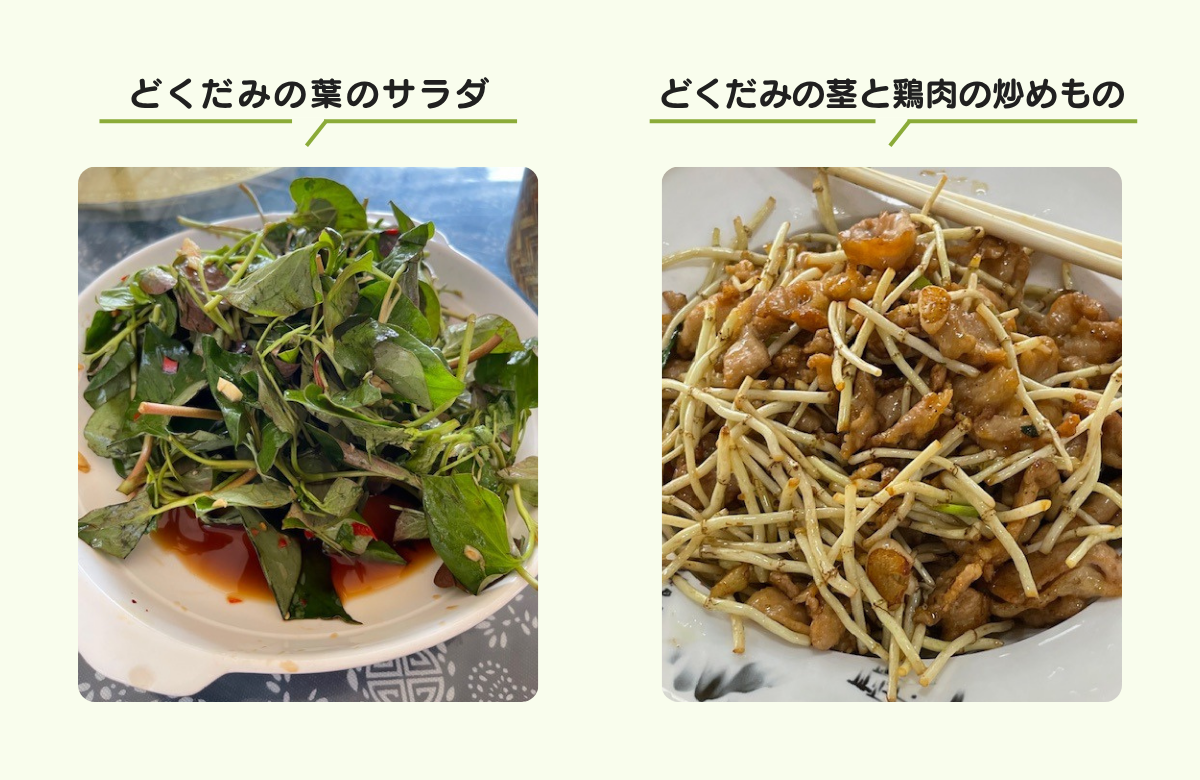 どくだみの葉のサラダ、どくだみの茎と鶏肉の炒めもの