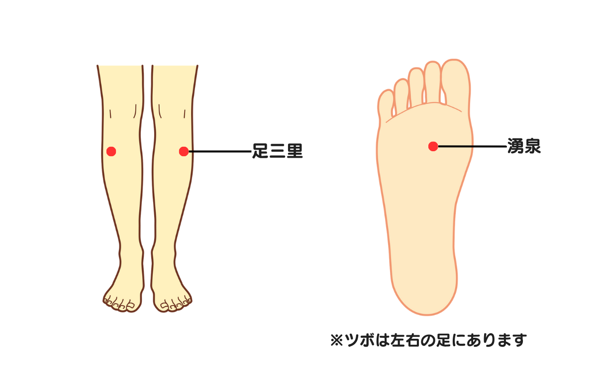 夏バテ対策のツボ「足三里」と「湧泉」の位置