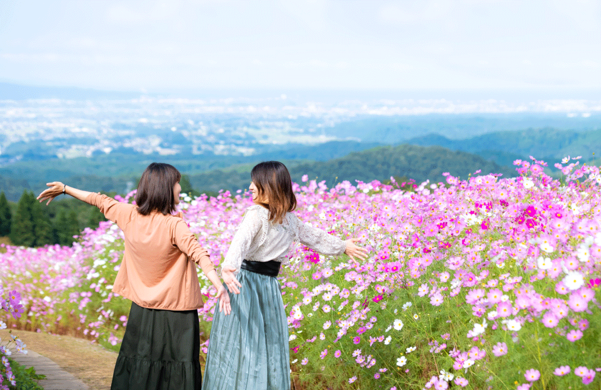 コスモス畑で楽しく過ごす二人の女性