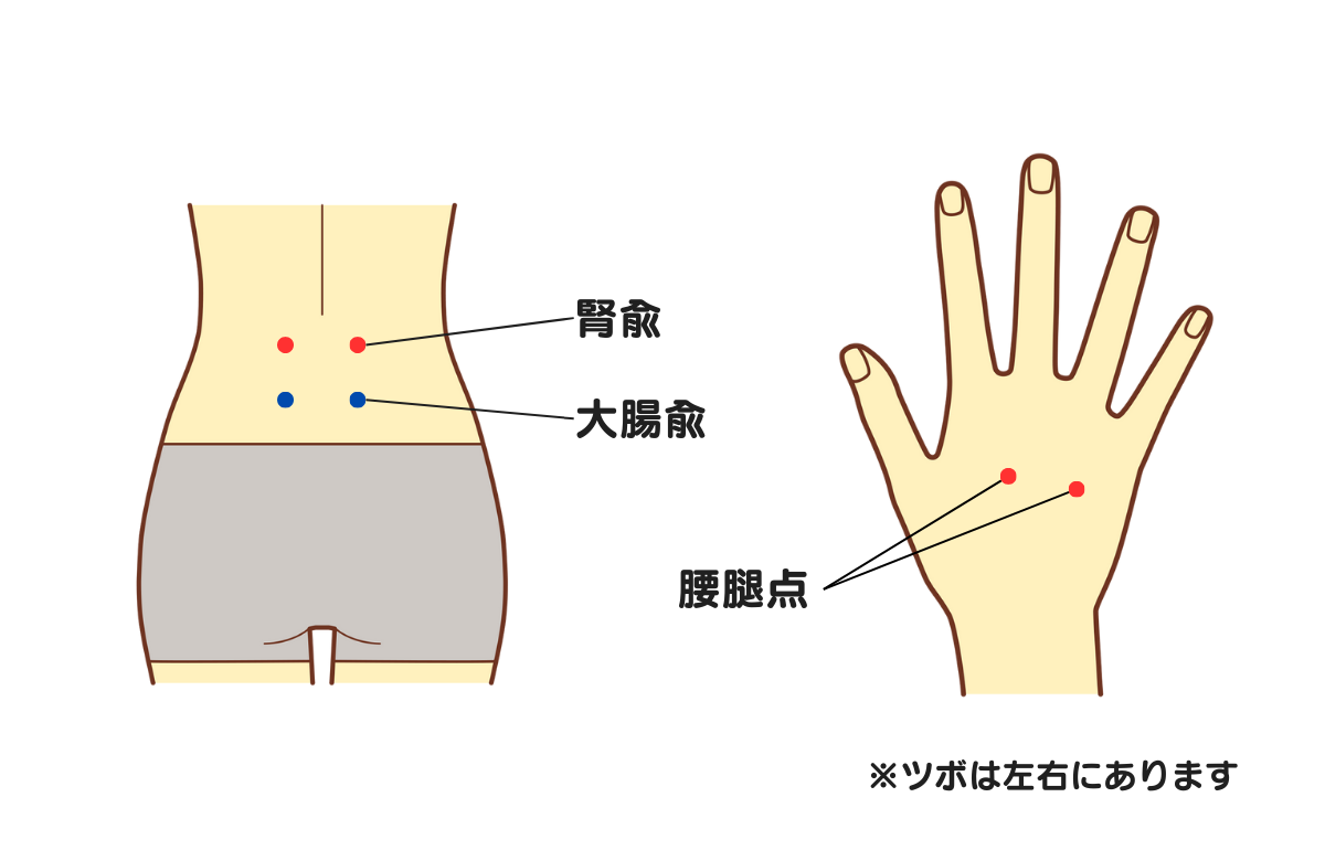 腰痛におすすめのツボ