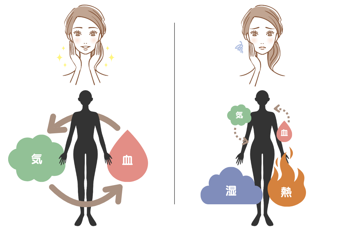 肌と気血の関係イメージ図