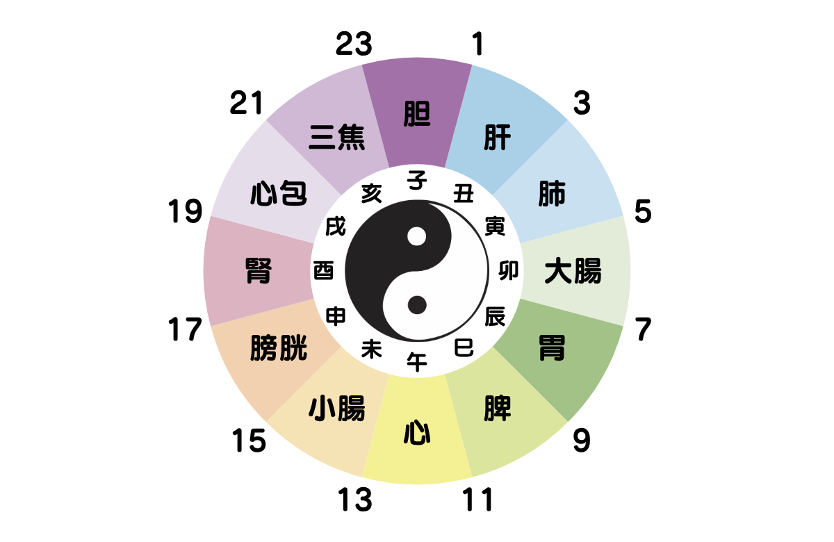 子午流注の図