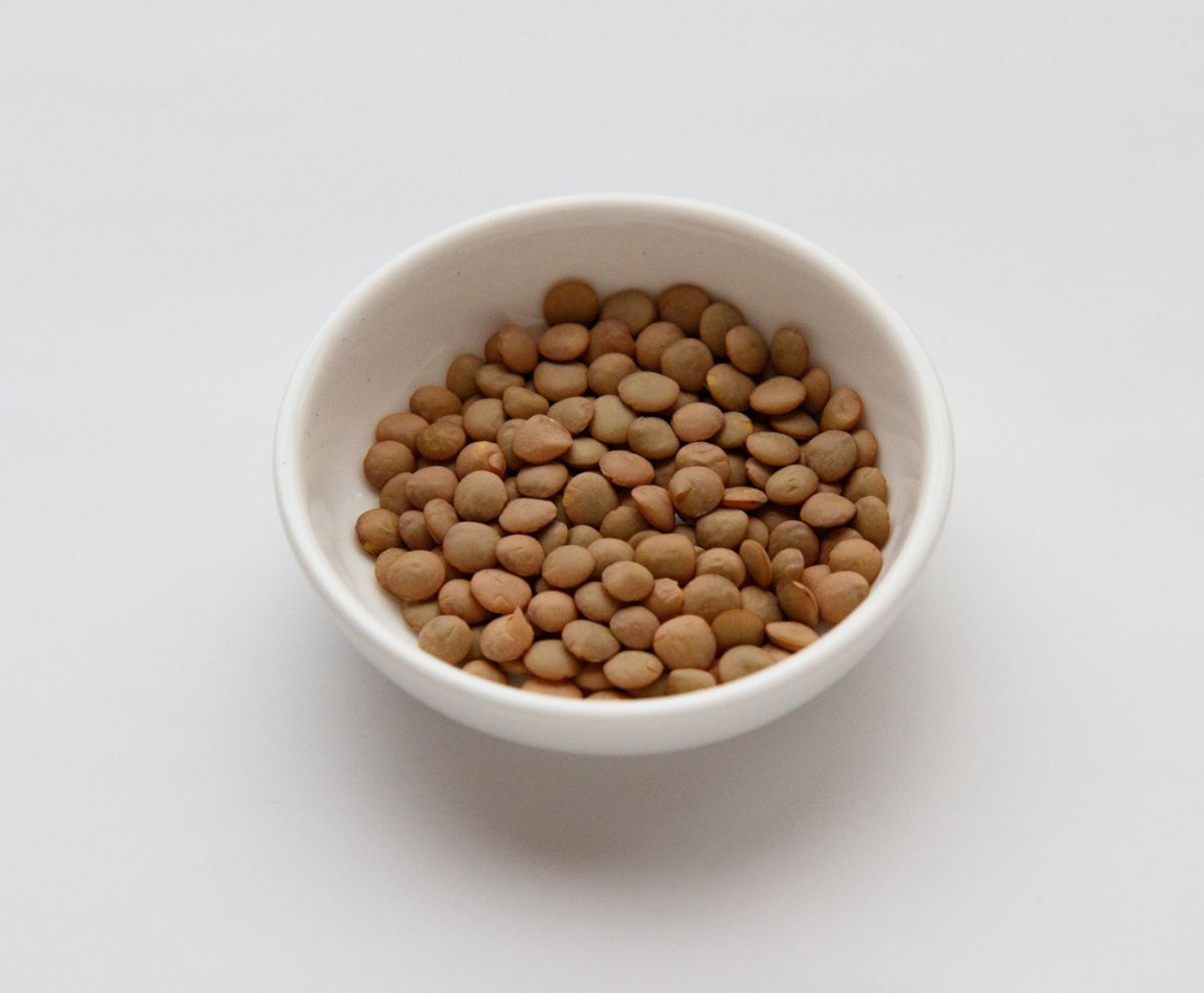レンズ豆