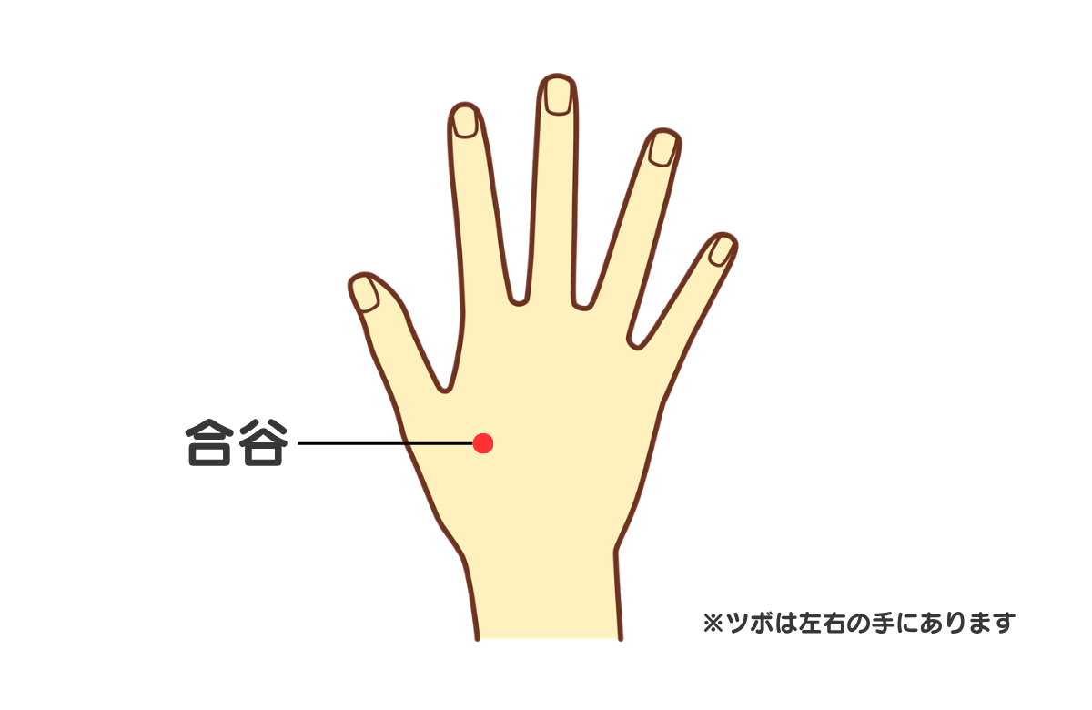 合谷の位置